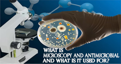 Which Is The Best Path Lab For Microscopy And Antimicrobial Tests?